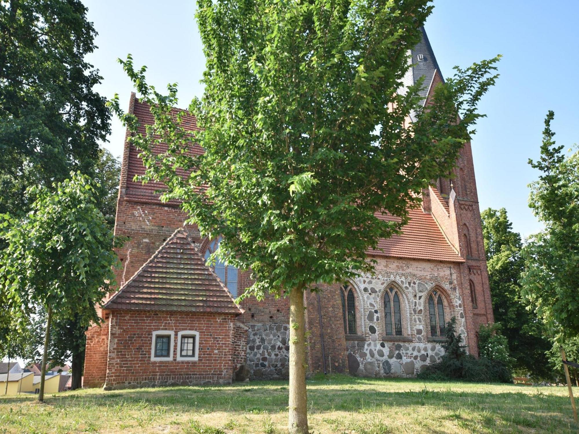 Beautiful Apartment In Damgarten With Garden Ribnitz-Damgarten Zewnętrze zdjęcie
