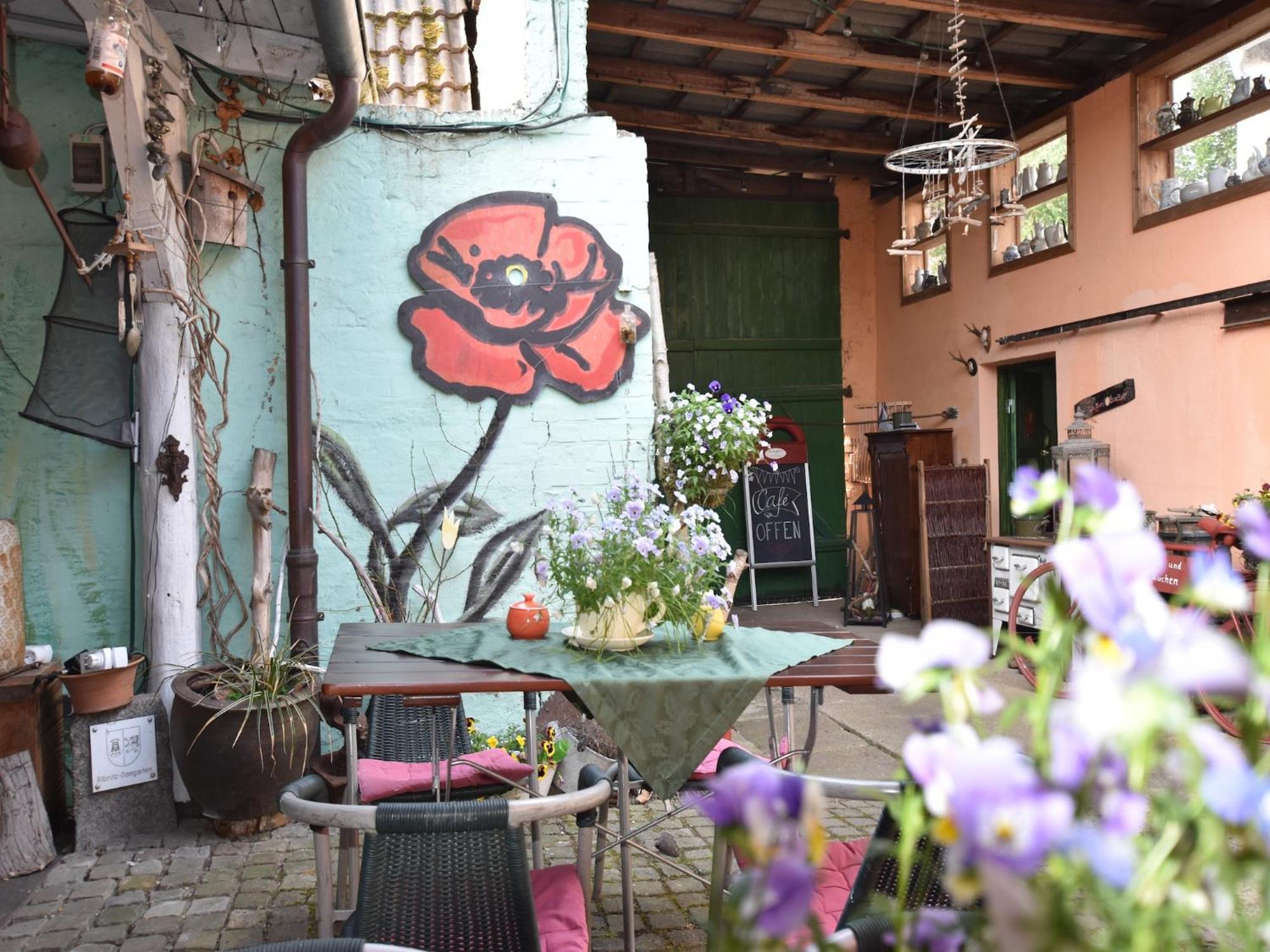 Beautiful Apartment In Damgarten With Garden Ribnitz-Damgarten Zewnętrze zdjęcie